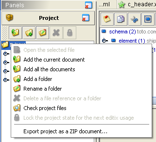 editix project popup